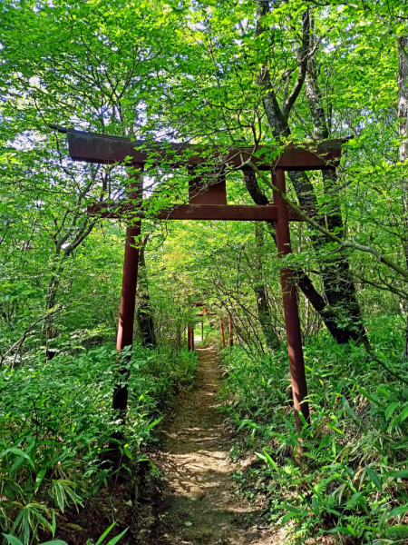 Япония на велосипеде: по горным серпантинам от онсэна до онсэна (около Japan Romantic road)