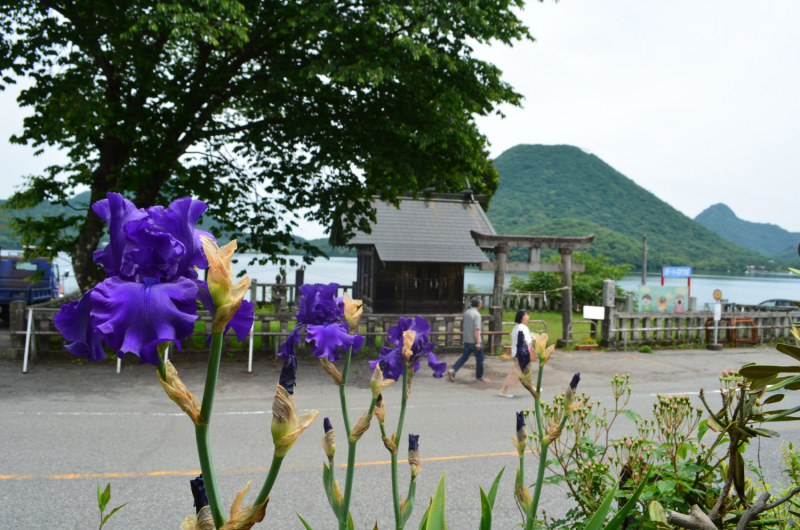 Япония на велосипеде: по горным серпантинам от онсэна до онсэна (около Japan Romantic road)