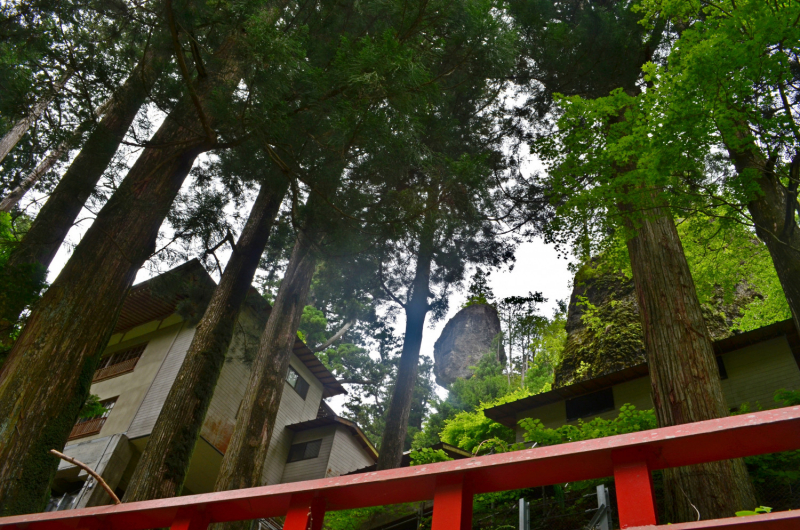 Япония на велосипеде: по горным серпантинам от онсэна до онсэна (около Japan Romantic road)