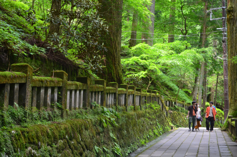 Япония на велосипеде: по горным серпантинам от онсэна до онсэна (около Japan Romantic road)