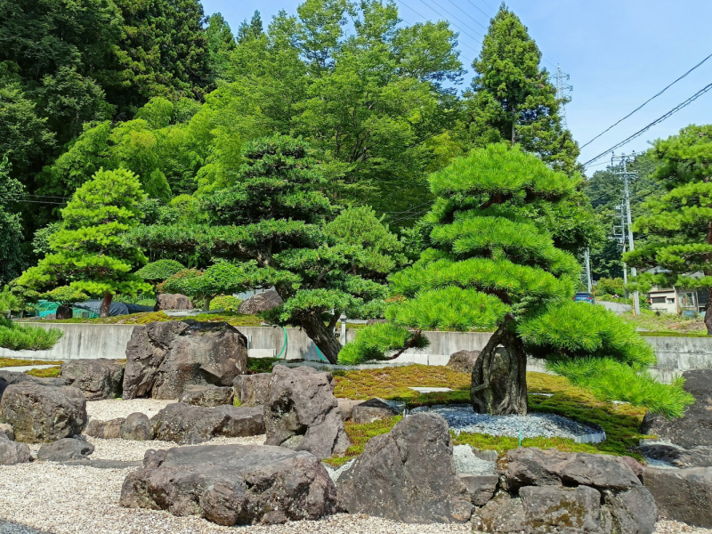 Япония на велосипеде: по горным серпантинам от онсэна до онсэна (около Japan Romantic road)