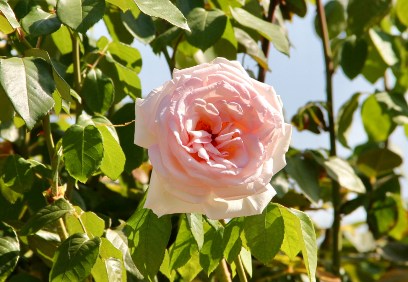 Французские зигзаги. Сентябрь 2019 г.