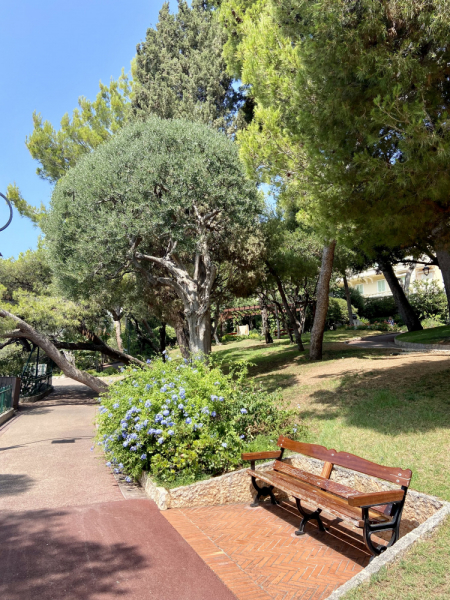 Пока мы ждем..