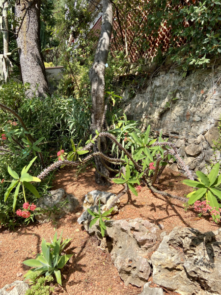 Пока мы ждем..