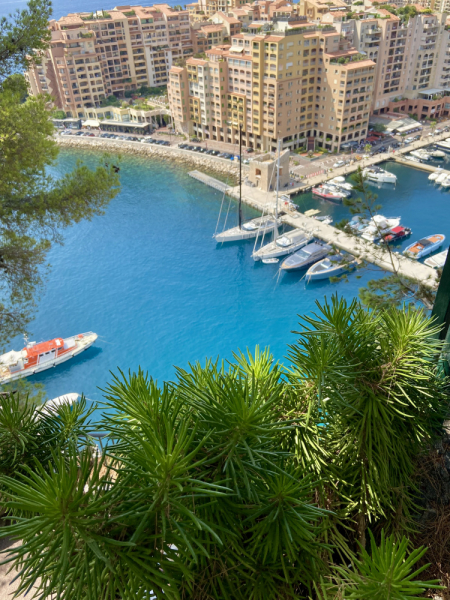 Пока мы ждем..