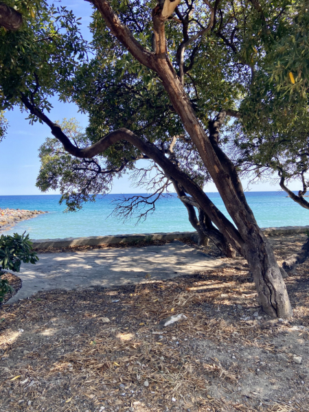 Пока мы ждем..