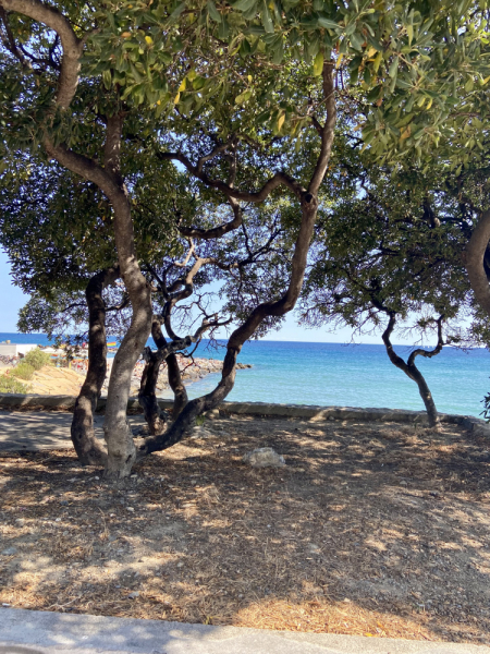 Пока мы ждем..