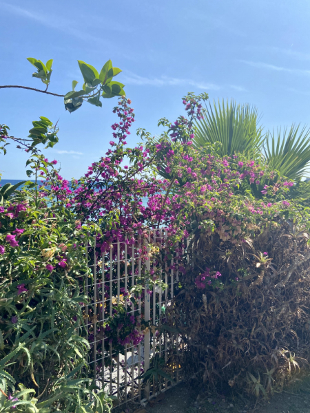 Пока мы ждем..