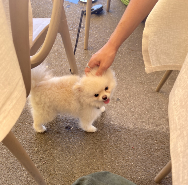 Пока мы ждем..