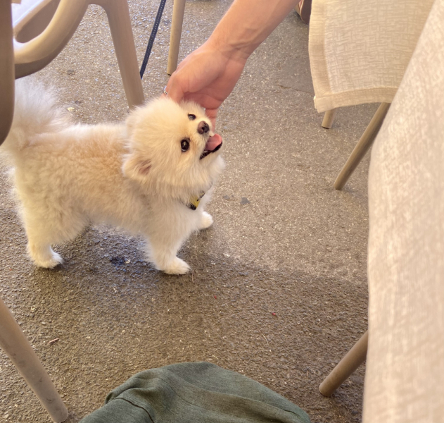 Пока мы ждем..