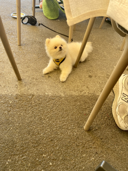 Пока мы ждем..