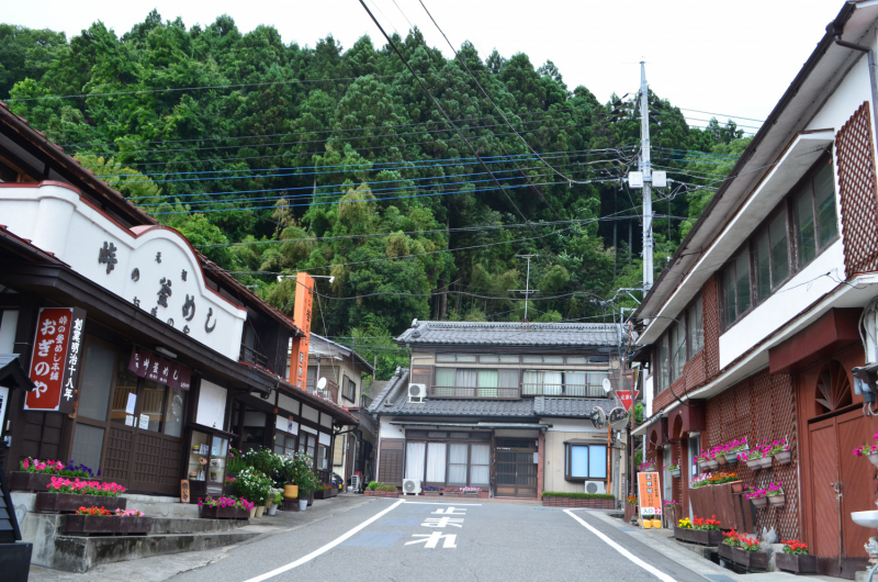 Япония на велосипеде: по горным серпантинам от онсэна до онсэна (около Japan Romantic road)