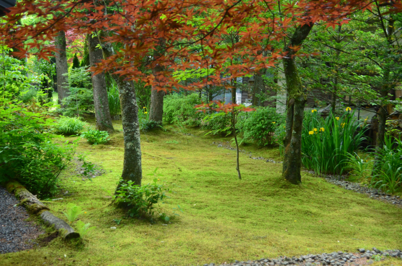 Япония на велосипеде: по горным серпантинам от онсэна до онсэна (около Japan Romantic road)