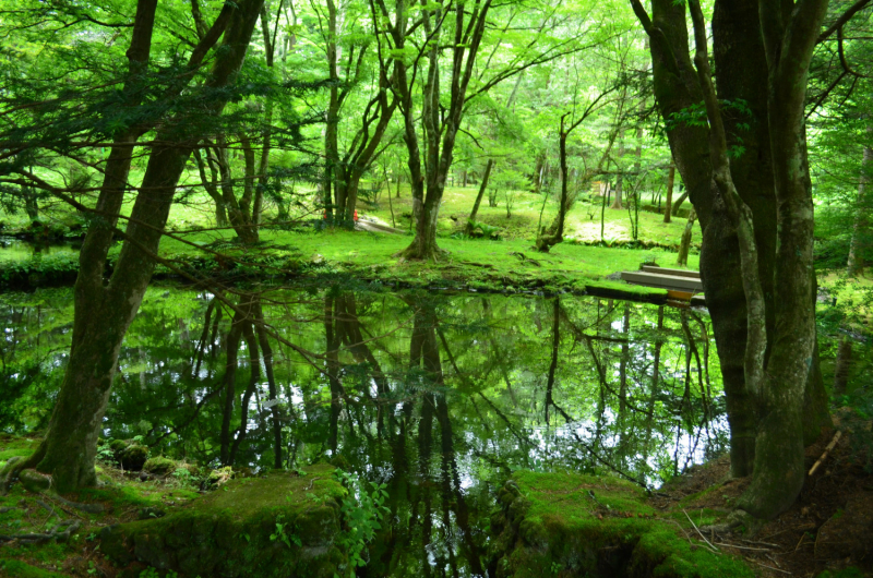 Япония на велосипеде: по горным серпантинам от онсэна до онсэна (около Japan Romantic road)