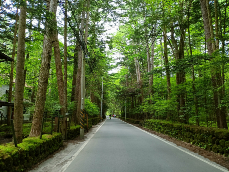 Япония на велосипеде: по горным серпантинам от онсэна до онсэна (около Japan Romantic road)