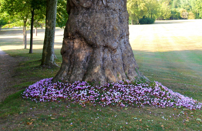 Французские зигзаги. Сентябрь 2019 г.