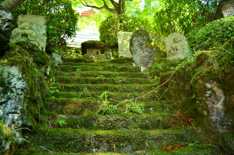 Сикоку и Хонсю. Средство передвижения - велосипед. (Tokushima, Takamatsy, Marygame, Imabari, Shimanami Kaido, Onomichi, Kobe)