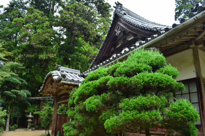 Сикоку и Хонсю. Средство передвижения - велосипед. (Tokushima, Takamatsy, Marygame, Imabari, Shimanami Kaido, Onomichi, Kobe)