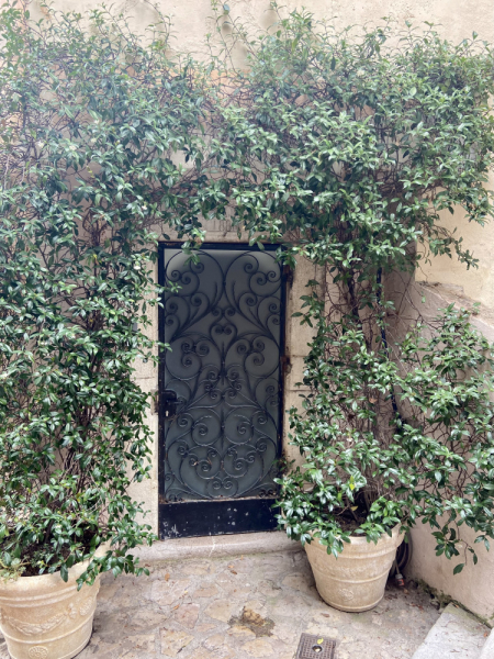 Пока мы ждем..