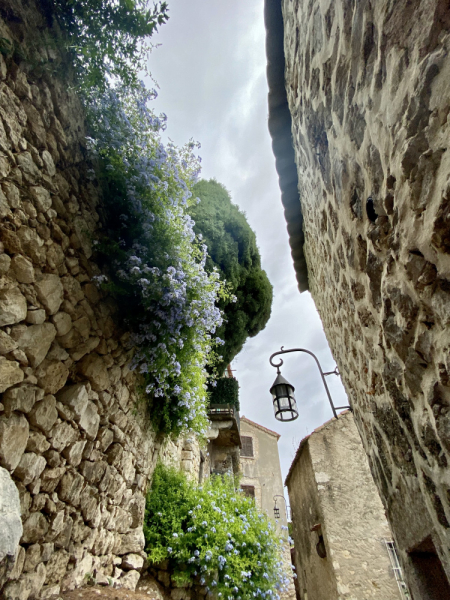 Пока мы ждем..