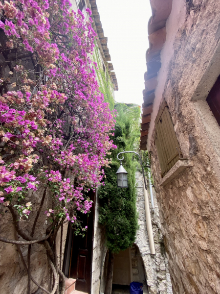 Пока мы ждем..