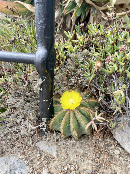 Пока мы ждем..