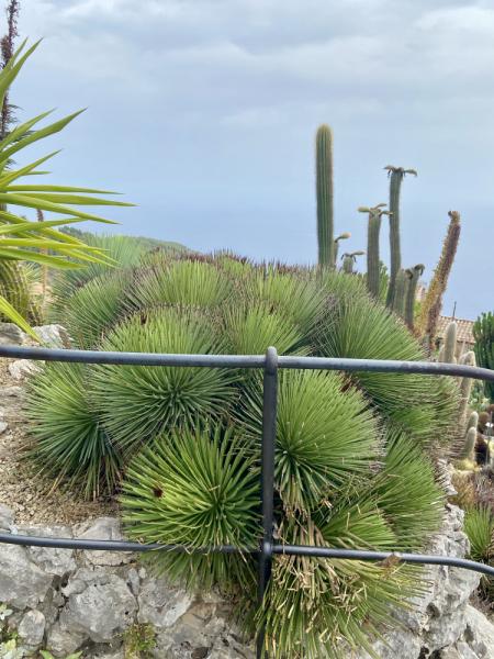 Пока мы ждем..