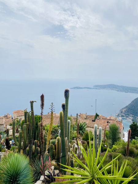 Пока мы ждем..