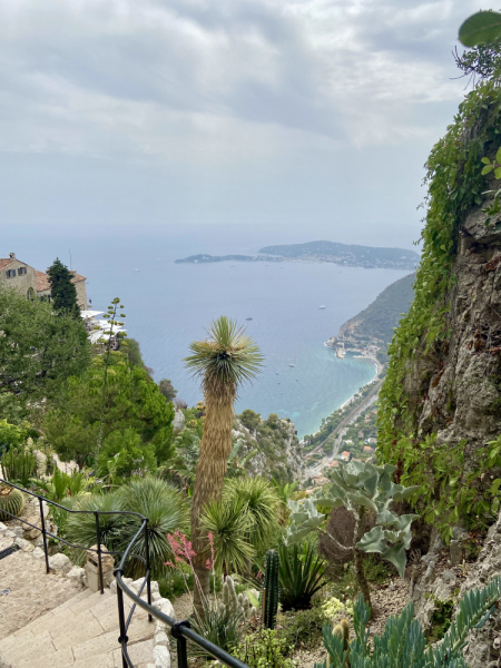 Пока мы ждем..