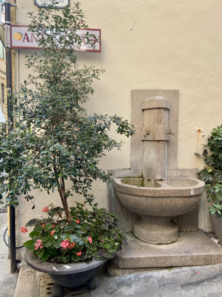 Пока мы ждем..