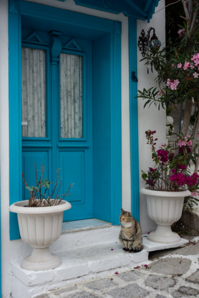 Карийская тропа