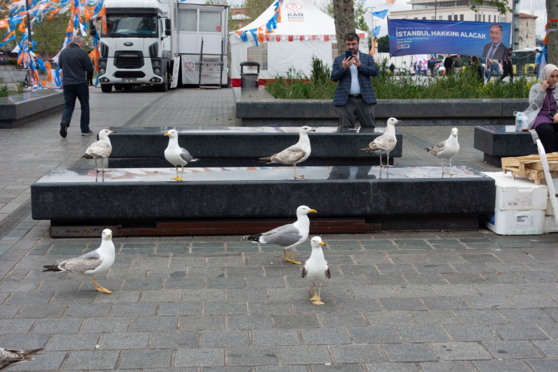 Карийская тропа