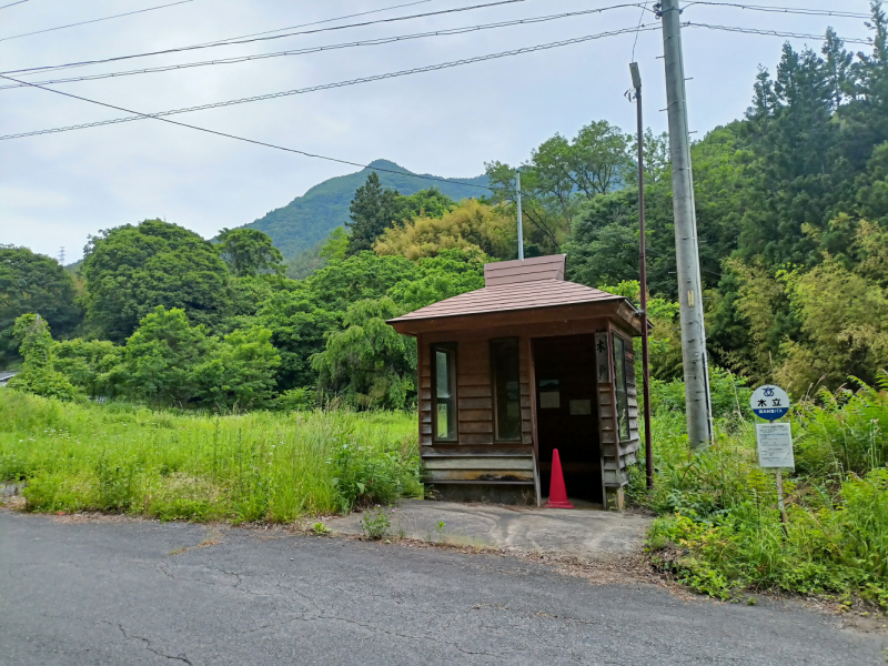 Япония на велосипеде: по горным серпантинам от онсэна до онсэна (около Japan Romantic road)