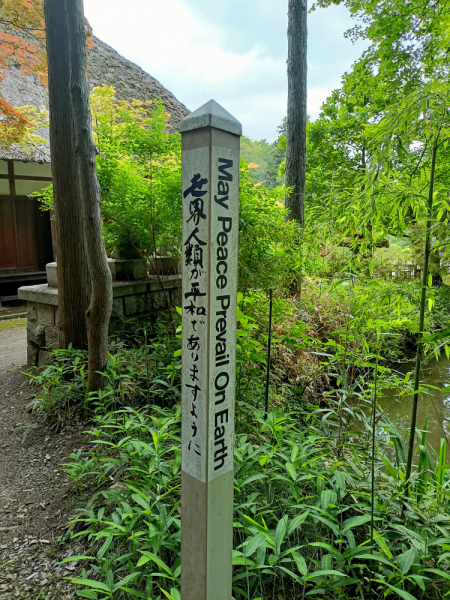 Япония на велосипеде: по горным серпантинам от онсэна до онсэна (около Japan Romantic road)