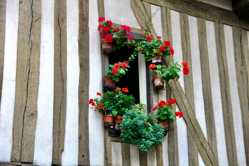 Французские зигзаги. Сентябрь 2019 г.