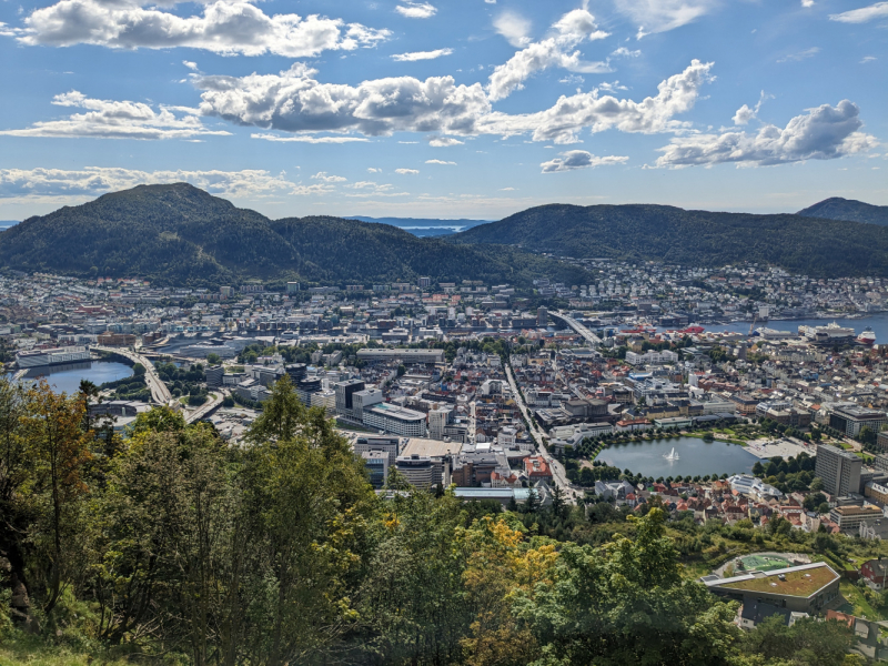 Трое в Амстердаме, не считая собаки. Переезд в Нидерланды.