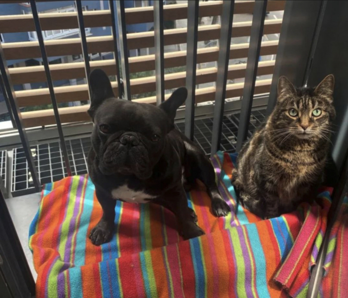 Еще один дневник переехавшего в Барселону, но в этот раз что-то пошло не так