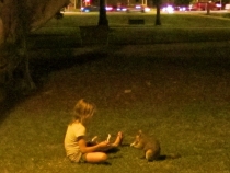 В гостях у антиподов. Перт, Мельбурн, Сидней. 31.10-14.11.2011