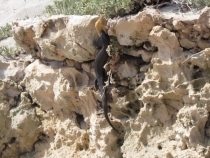 В гостях у антиподов. Перт, Мельбурн, Сидней. 31.10-14.11.2011