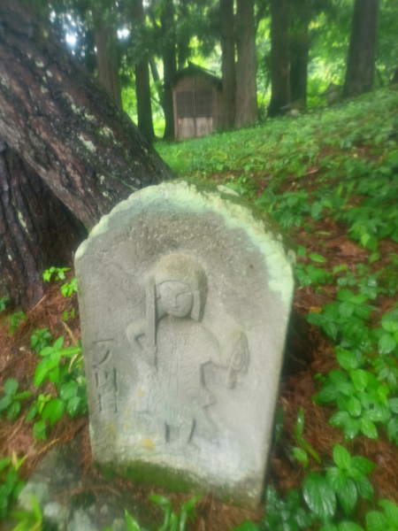 Япония на велосипеде: по горным серпантинам от онсэна до онсэна (около Japan Romantic road)