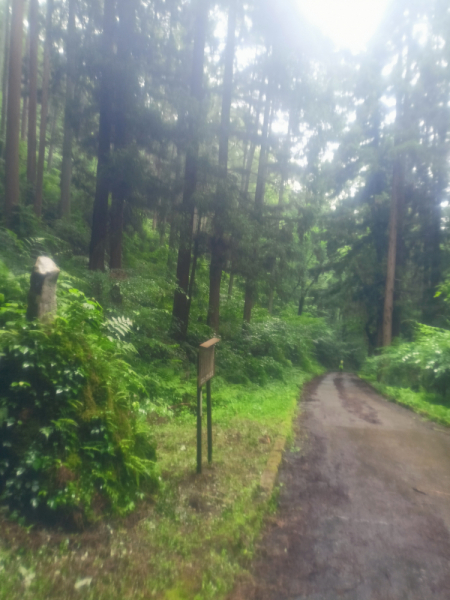 Япония на велосипеде: по горным серпантинам от онсэна до онсэна (около Japan Romantic road)