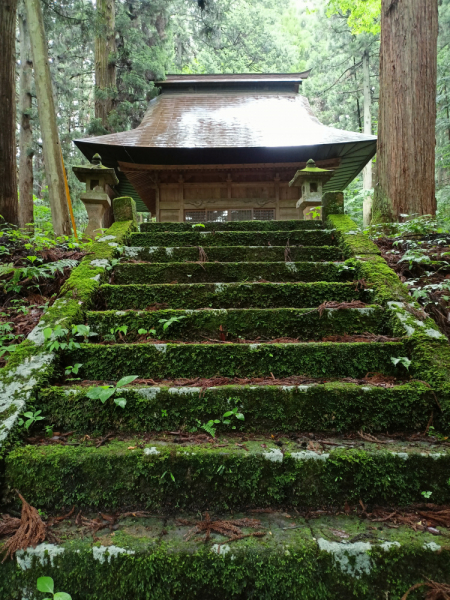 Япония на велосипеде: по горным серпантинам от онсэна до онсэна (около Japan Romantic road)