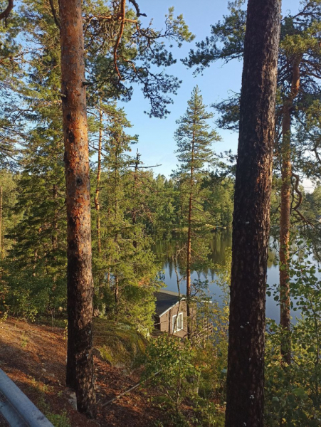 Финляндия: 6° до полярного круга