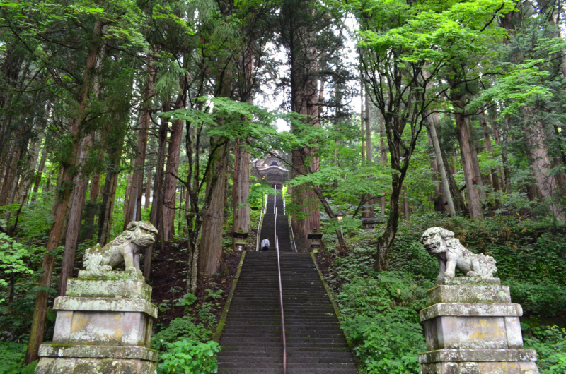 Япония на велосипеде: по горным серпантинам от онсэна до онсэна (около Japan Romantic road)