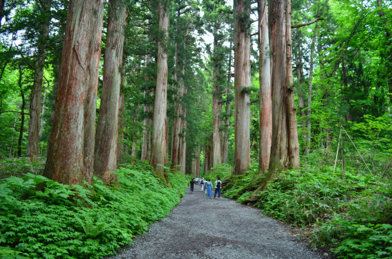 Япония на велосипеде: по горным серпантинам от онсэна до онсэна (около Japan Romantic road)