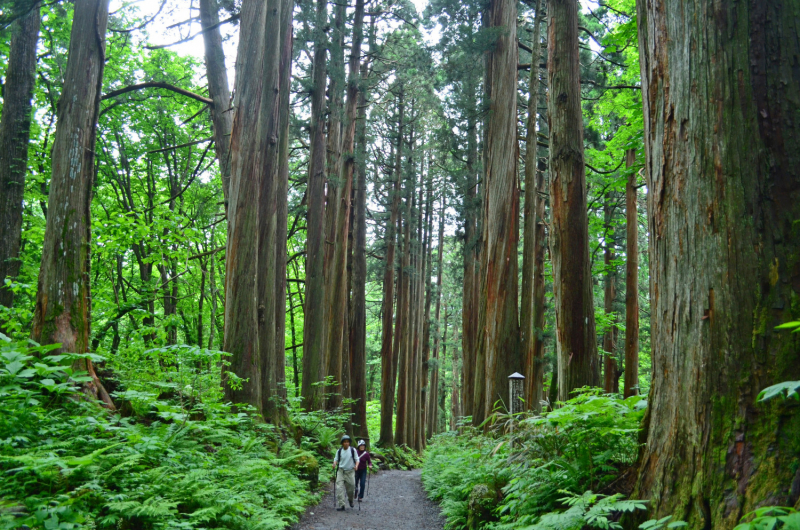 Япония на велосипеде: по горным серпантинам от онсэна до онсэна (около Japan Romantic road)