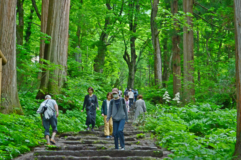 Япония на велосипеде: по горным серпантинам от онсэна до онсэна (около Japan Romantic road)