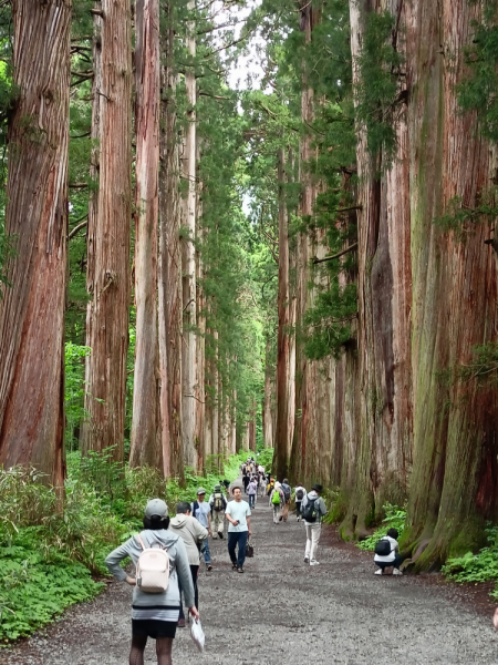 Япония на велосипеде: по горным серпантинам от онсэна до онсэна (около Japan Romantic road)