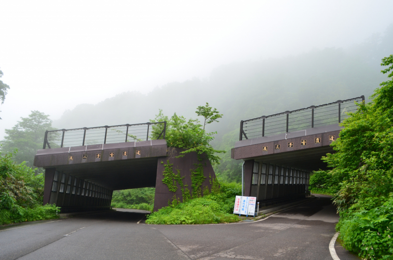 Япония на велосипеде: по горным серпантинам от онсэна до онсэна (около Japan Romantic road)