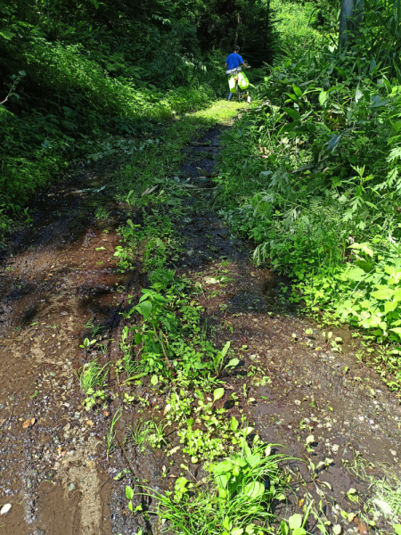 Япония на велосипеде: по горным серпантинам от онсэна до онсэна (около Japan Romantic road)